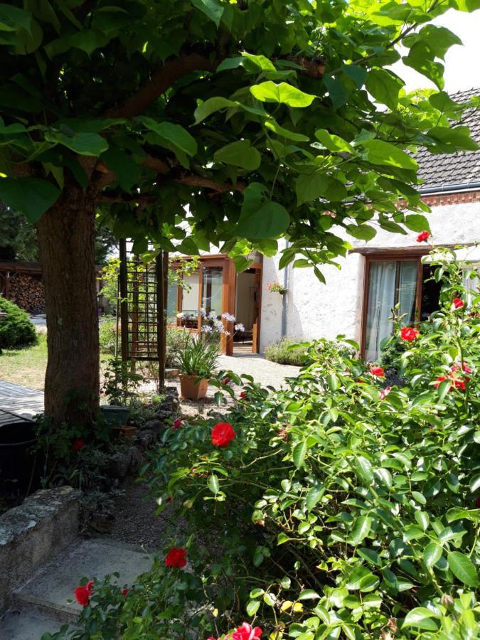 L'Orme Seul, Maison D'Hotes Vineuil  Bagian luar foto