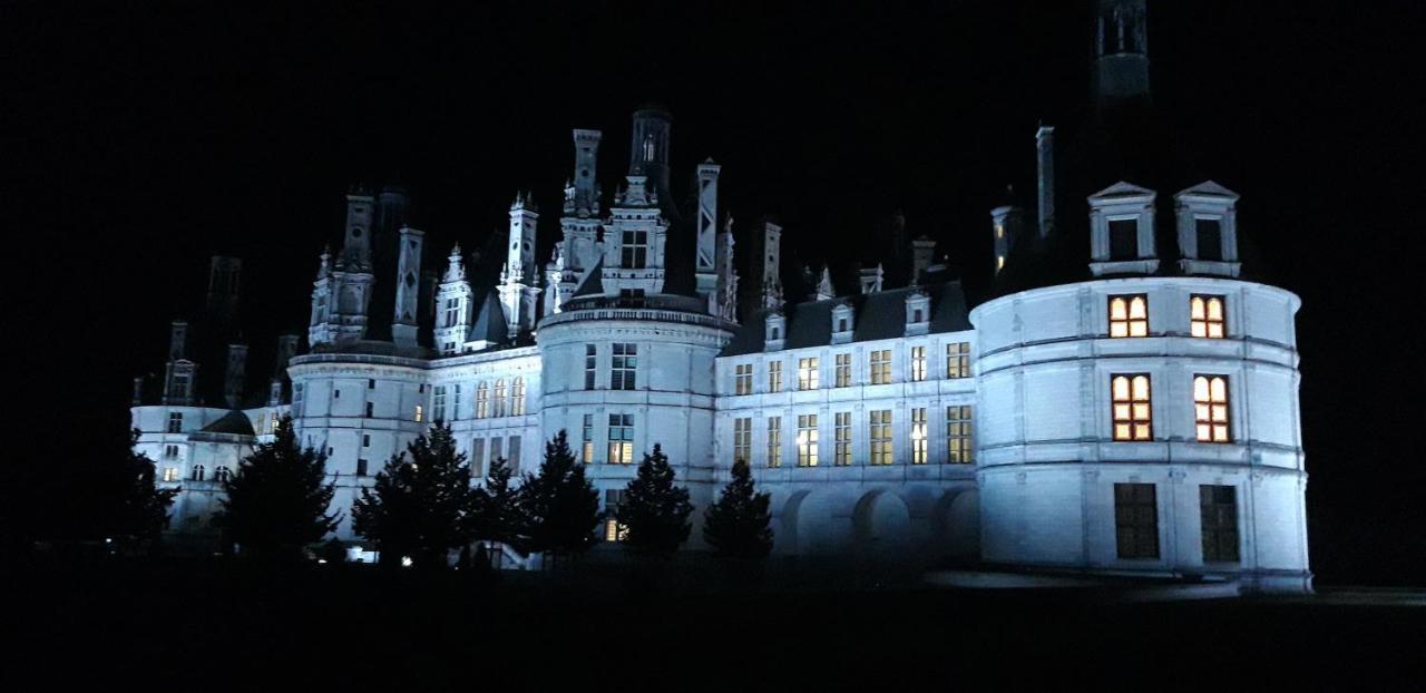 L'Orme Seul, Maison D'Hotes Vineuil  Bagian luar foto