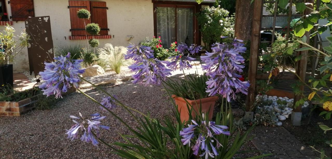 L'Orme Seul, Maison D'Hotes Vineuil  Bagian luar foto