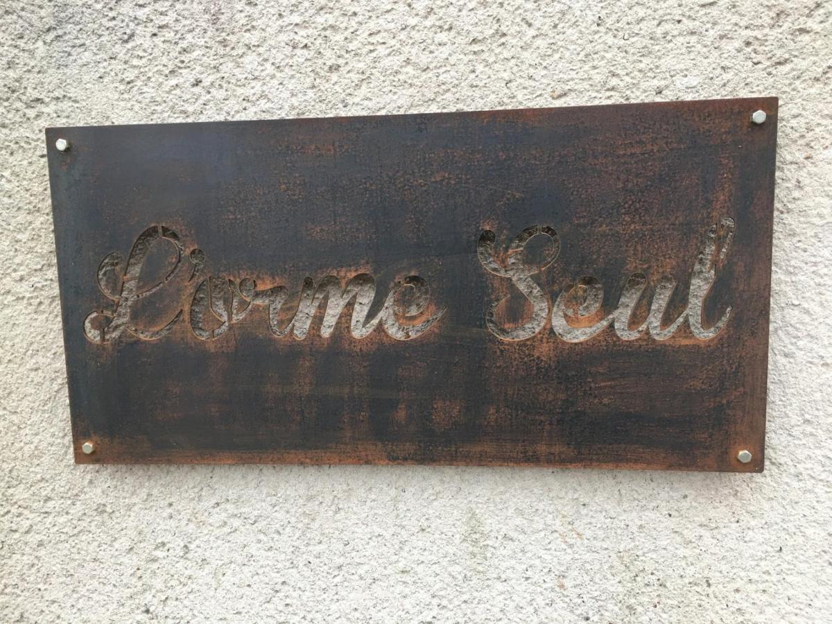 L'Orme Seul, Maison D'Hotes Vineuil  Bagian luar foto