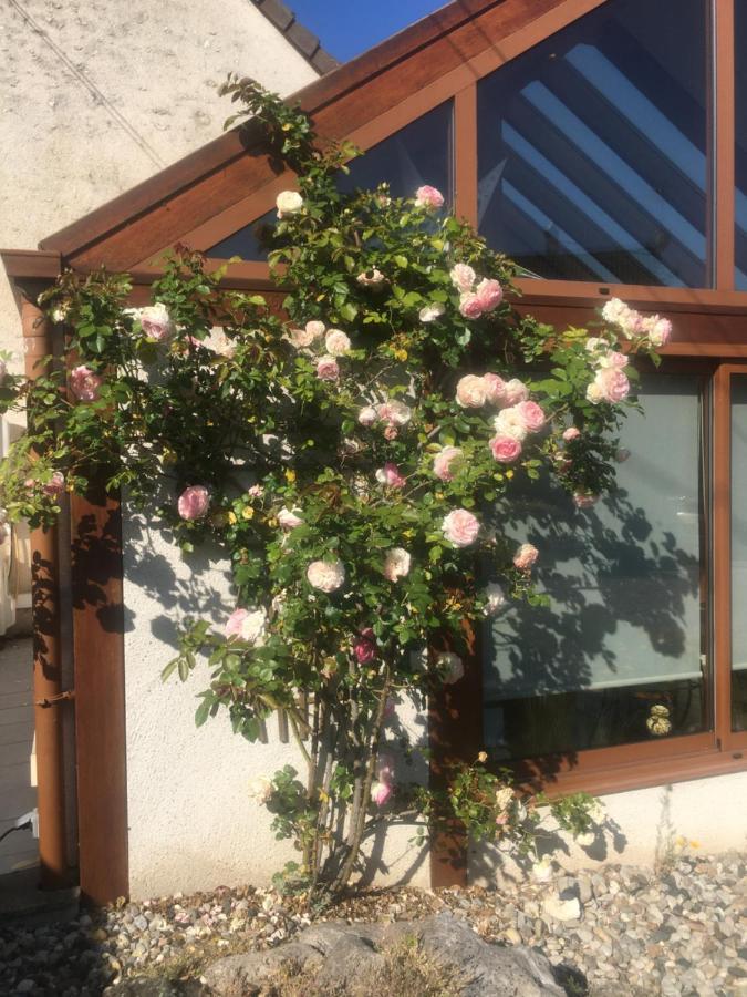 L'Orme Seul, Maison D'Hotes Vineuil  Bagian luar foto