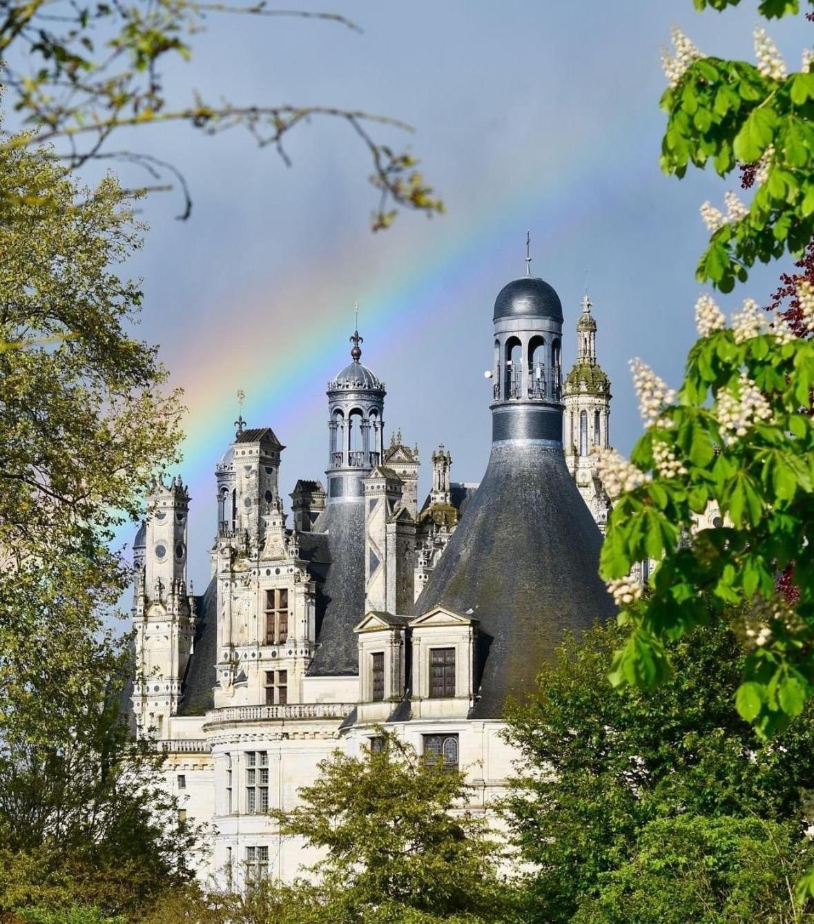 L'Orme Seul, Maison D'Hotes Vineuil  Bagian luar foto